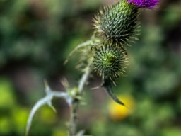 Fotowalk Pfarrwerfen - Bahnhof Werfen